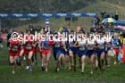 Senior mens Great Edinburgh Cross Country. Photo: David T. Hewitson/Sports for All Pics